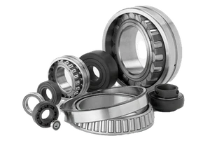 Roller bearings and seals